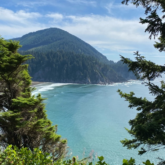 Meet your Posher, Kris - Picture 4 of 6